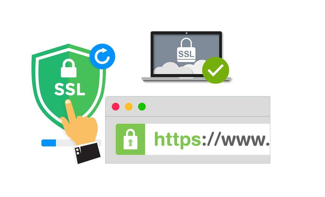 SSL证书类型有哪些？